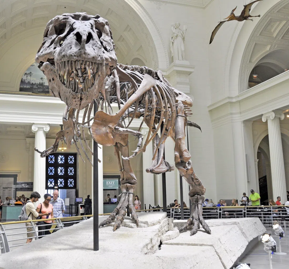 Field Museum, Chicago