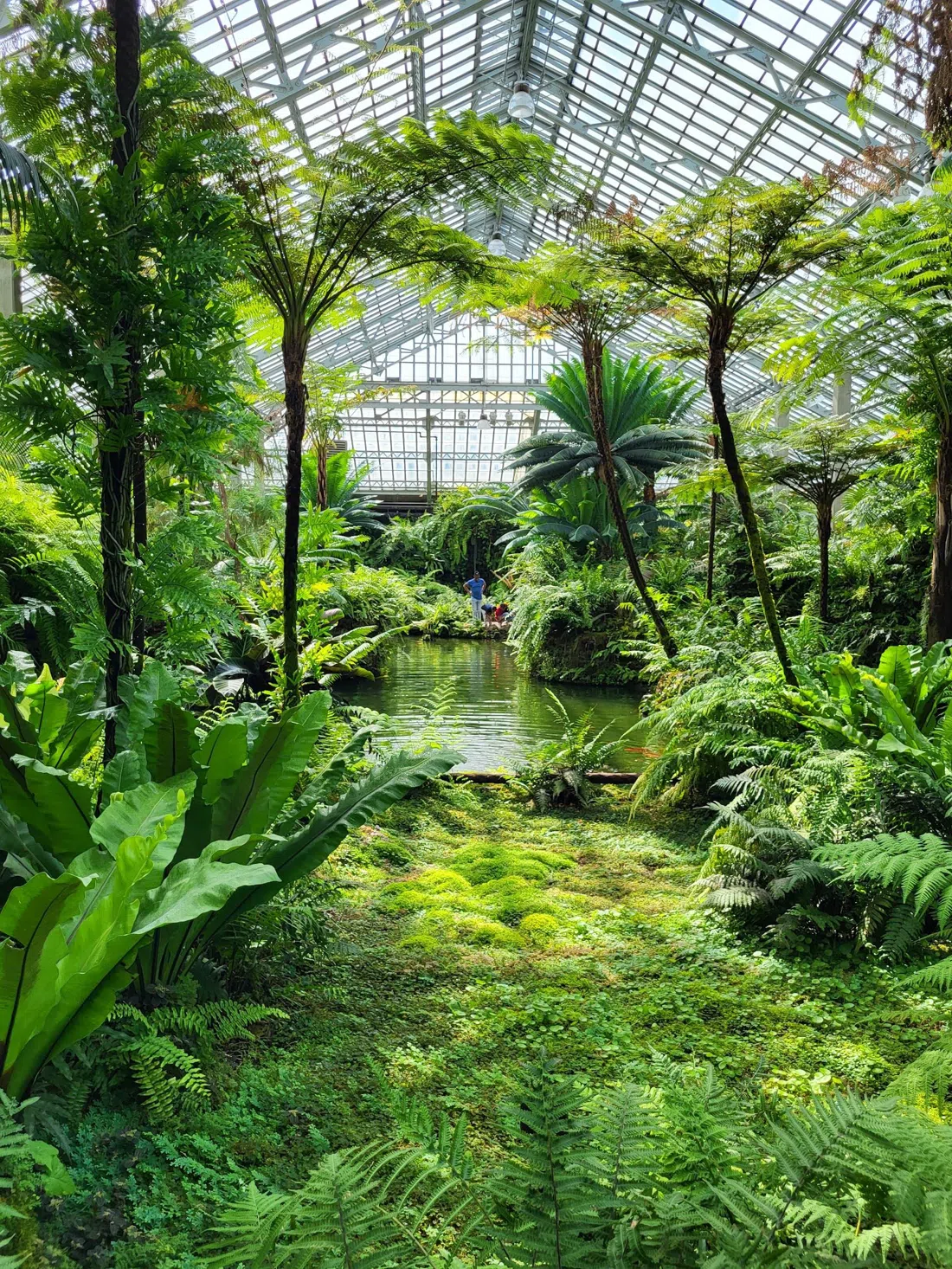 Garfield Park Conservatory, Chicago